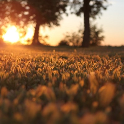 1920 x 1080 HD Wallpapers 1452